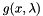 $ g(x, \lambda) $